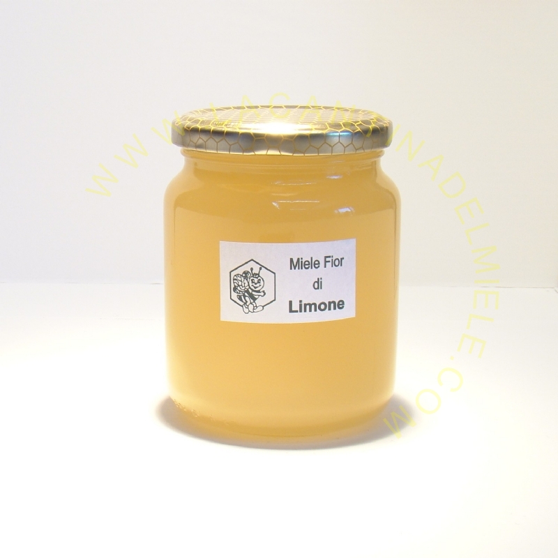 Miele di Zagare di Limone 500 gr. (0,5 Kg)