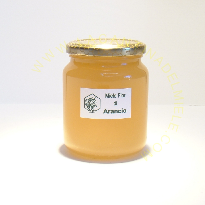 Miele di Zagare d`Arancio gr. 500