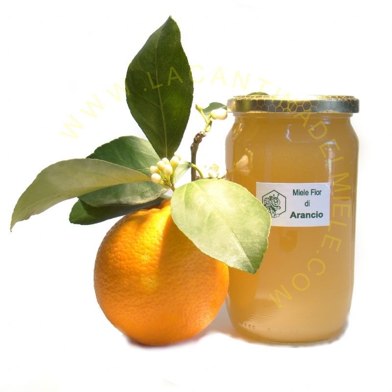 Miele di Zagare d`Arancio 1000 gr. (1 Kg)